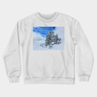 Snowy Tree Crewneck Sweatshirt